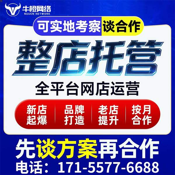 天门电商代运营