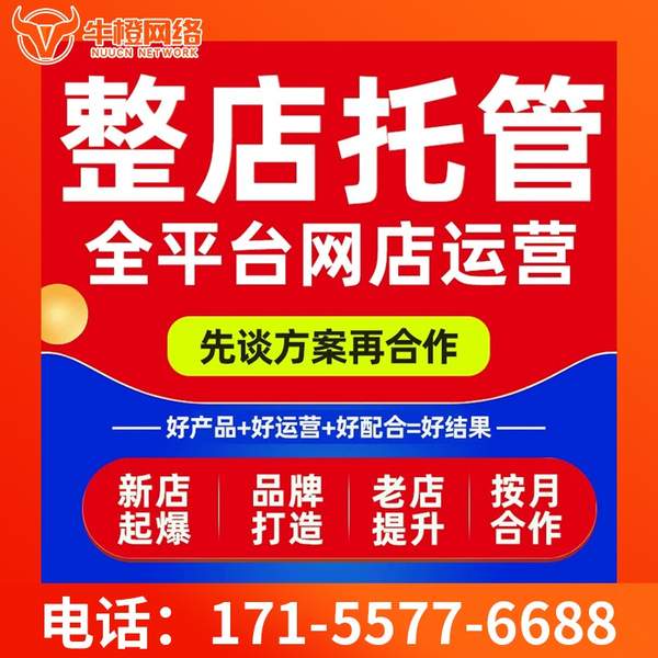 天门电商代运营