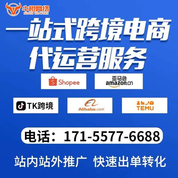 天门电商代运营