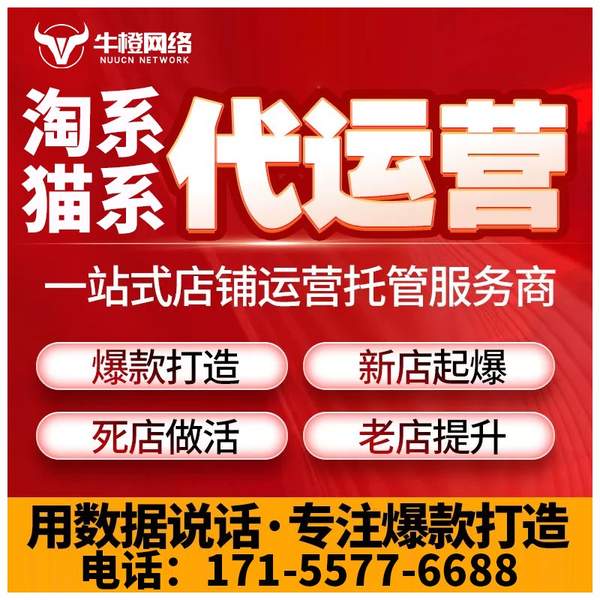天门电商代运营